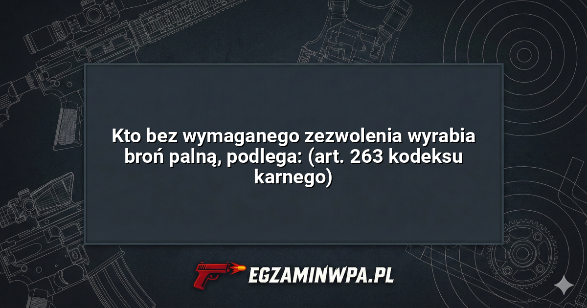 Kto bez wymaganego zezwolenia wyrabia broń palną, podlega: (art. 263 kodeksu karnego)? – EgzaminWPA.pl