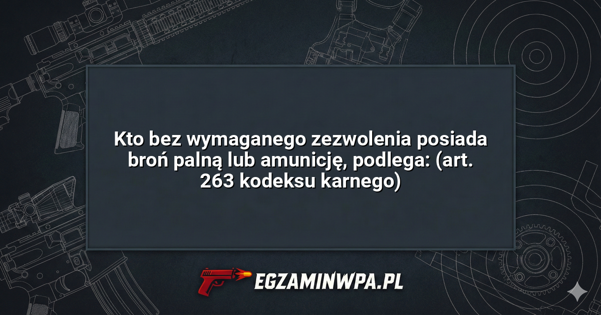Kto bez wymaganego zezwolenia posiada broń palną lub amunicję, podlega: (art. 263 kodeksu karnego)? – EgzaminWPA.pl